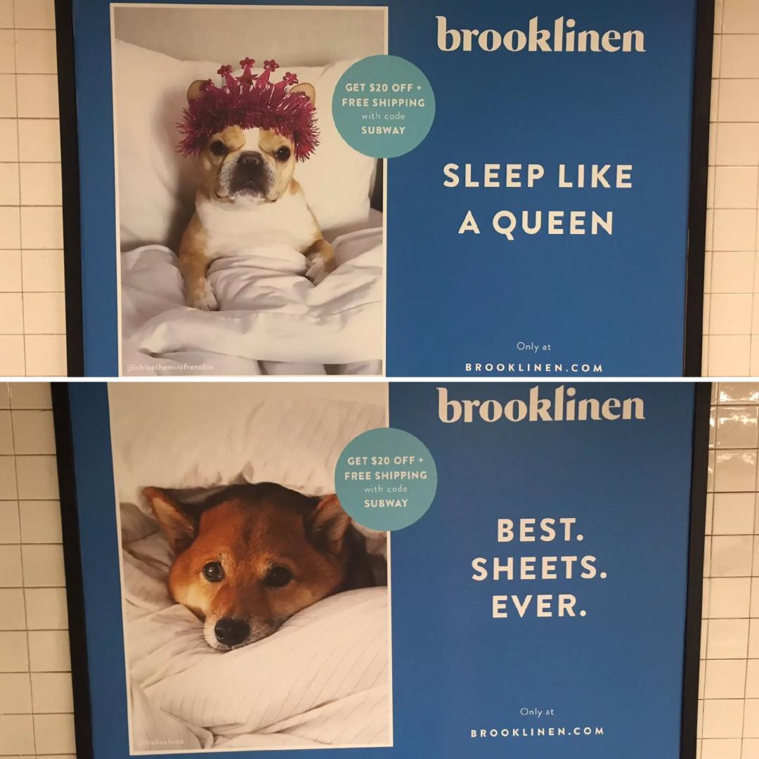 从床单起家的DTC家居品牌Brooklinen，如何在海外快速破圈？