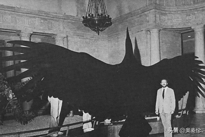 最近几年世界杯战况分析,为什么世界杯都是足球比赛