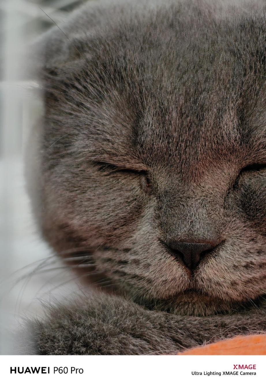 华为p60pro拍照得分,华为p60pro登顶dxomark影像排行榜