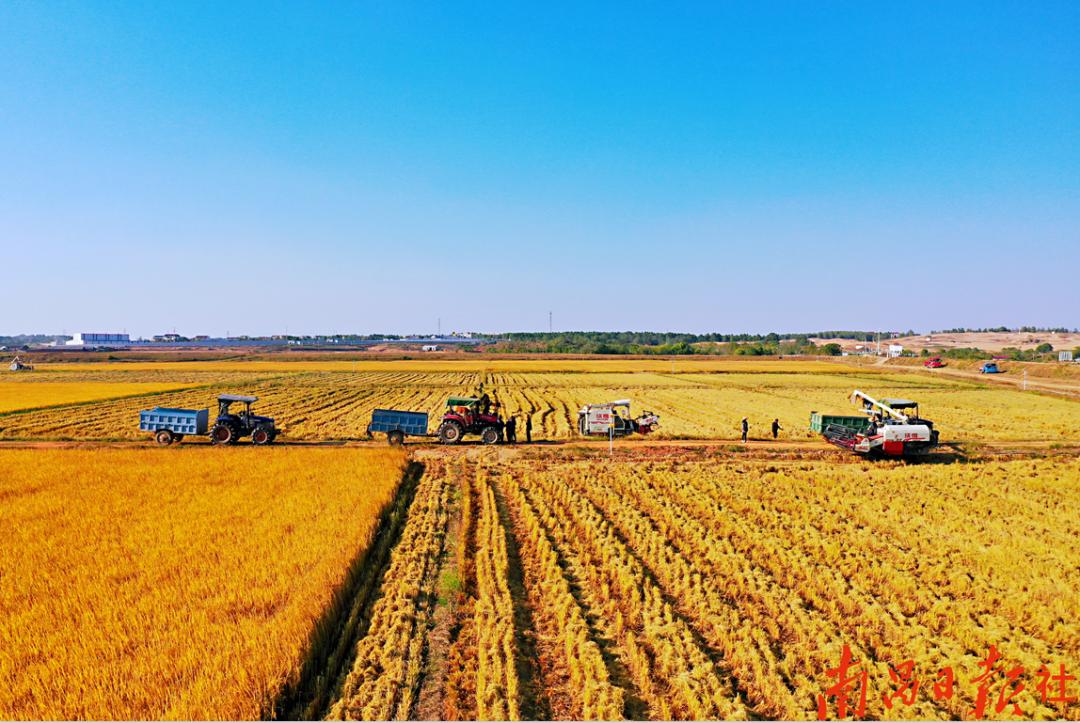 南昌亲临其境的地方,南昌有逼格的地方