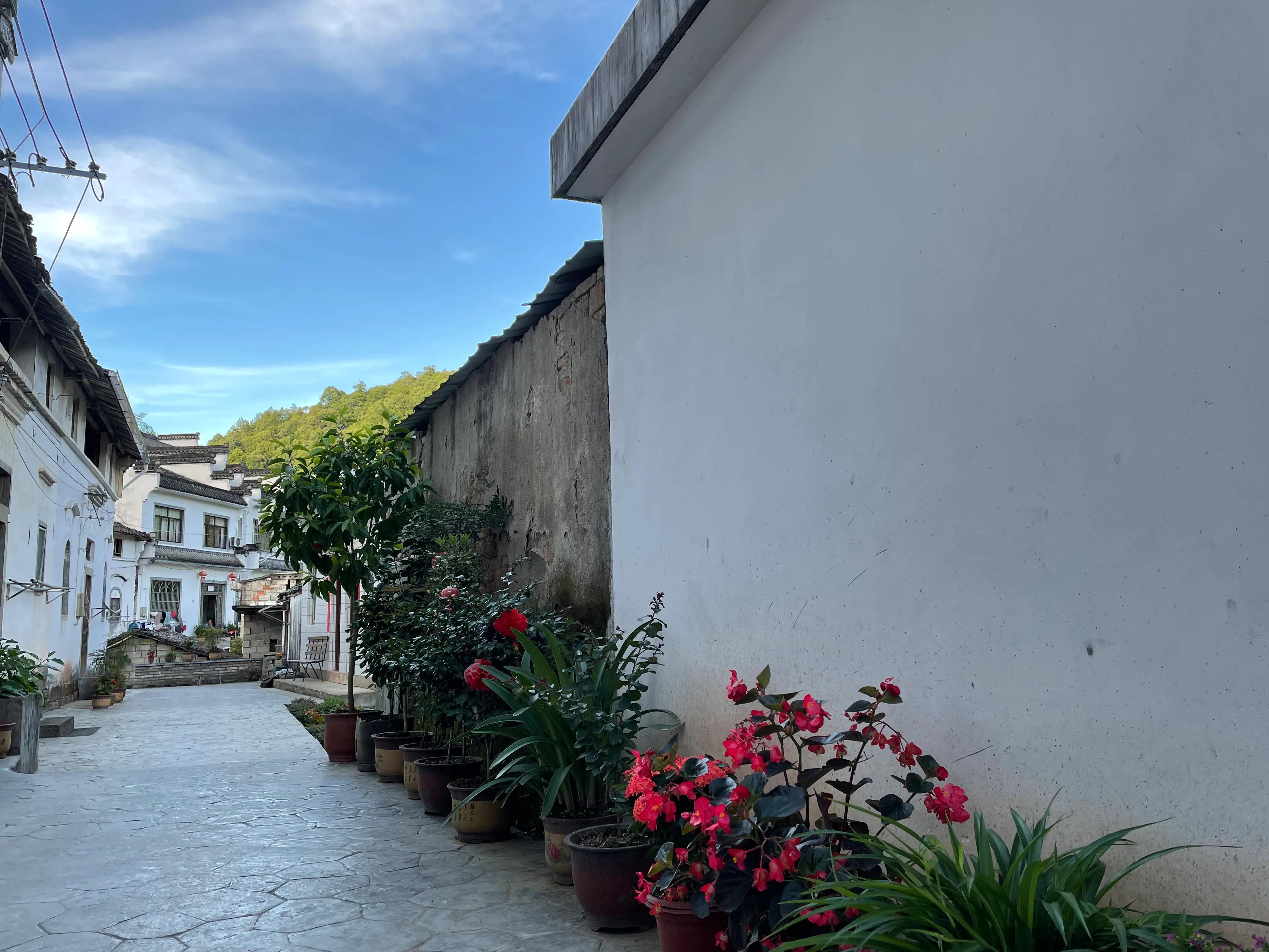 生活中苟且的活着,生活里的苟且