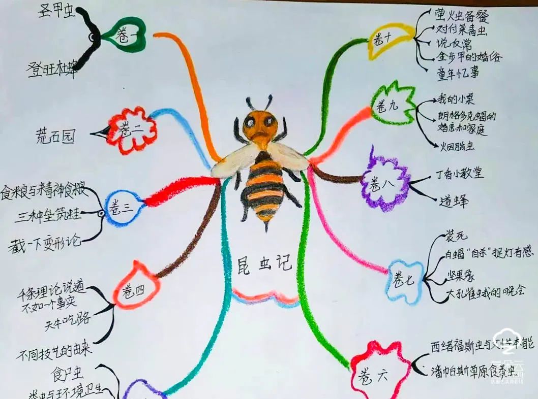 包头团结大街第二小学,包头昆都仑区小学