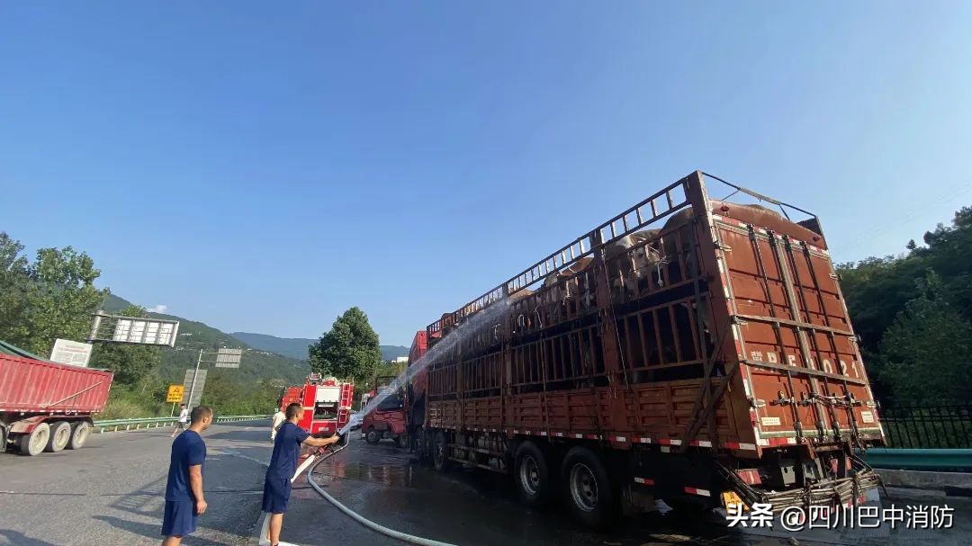 货车侧翻致一人被困消防紧急救援,货车高速抛锚46头猪中暑