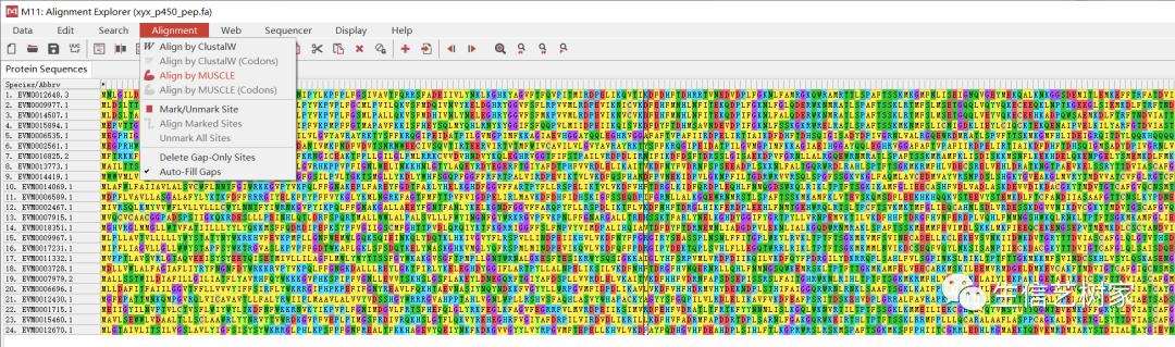 TBtools|基因家族分析,进化树、Motifs、结构域