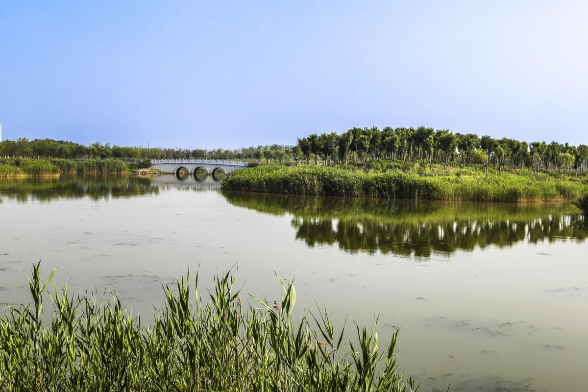 2023年天津东丽区gdp,天津市东丽区2024一季度经济情况