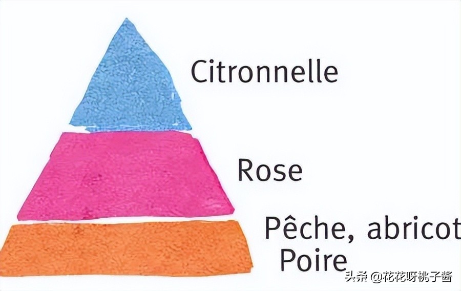花期特别短暂开放好看的粉色月季,粉色可爱融化你的少女心月季