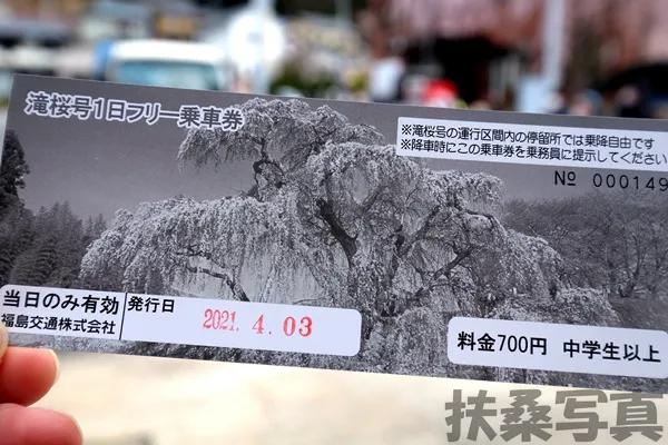 【说说日本的三大樱、五大樱以及观赏期推荐、交通路线介绍】