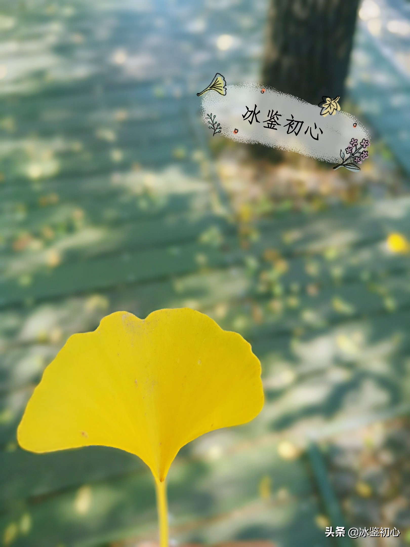 辽东第一山,辽东第一山是什么山