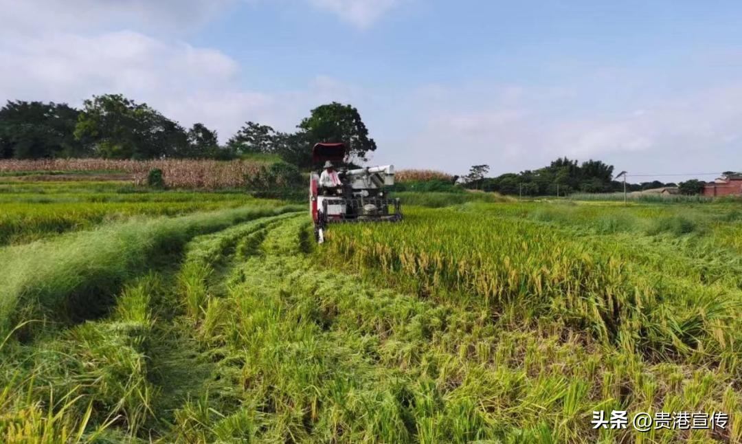 贵港超亿元企业,贵港有没有产值一百亿元的企业