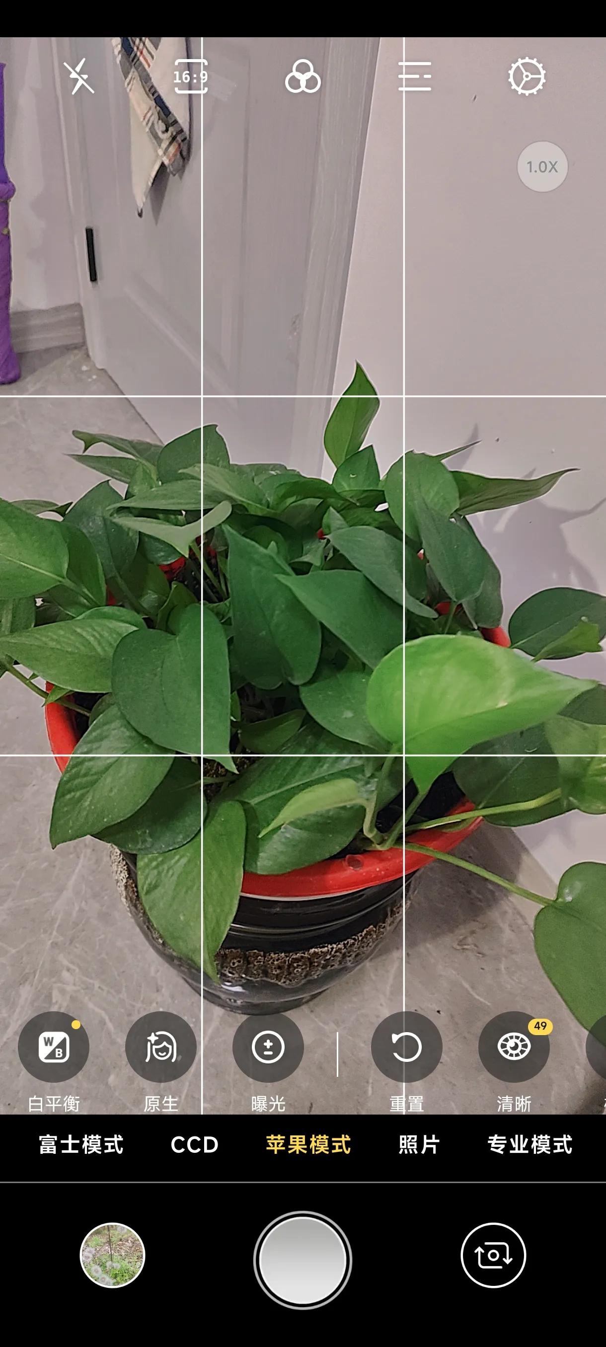 免费拍照翻译软件app下载,可拍照识别植物的免费软件