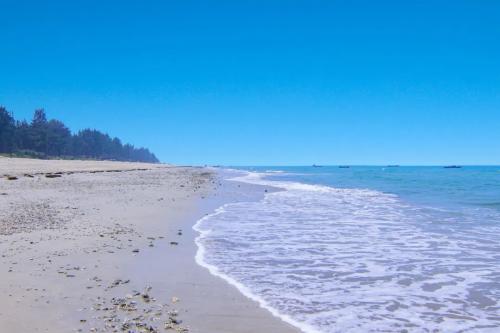 锦江之星免费景点,锦江之星玩的地方