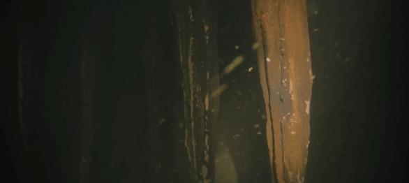 牵动全国人的心重大事件,牵动全国人民的案件