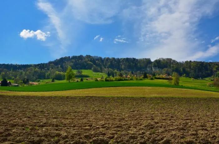 未来值钱的三样东西,未来5年哪几类资产最值钱