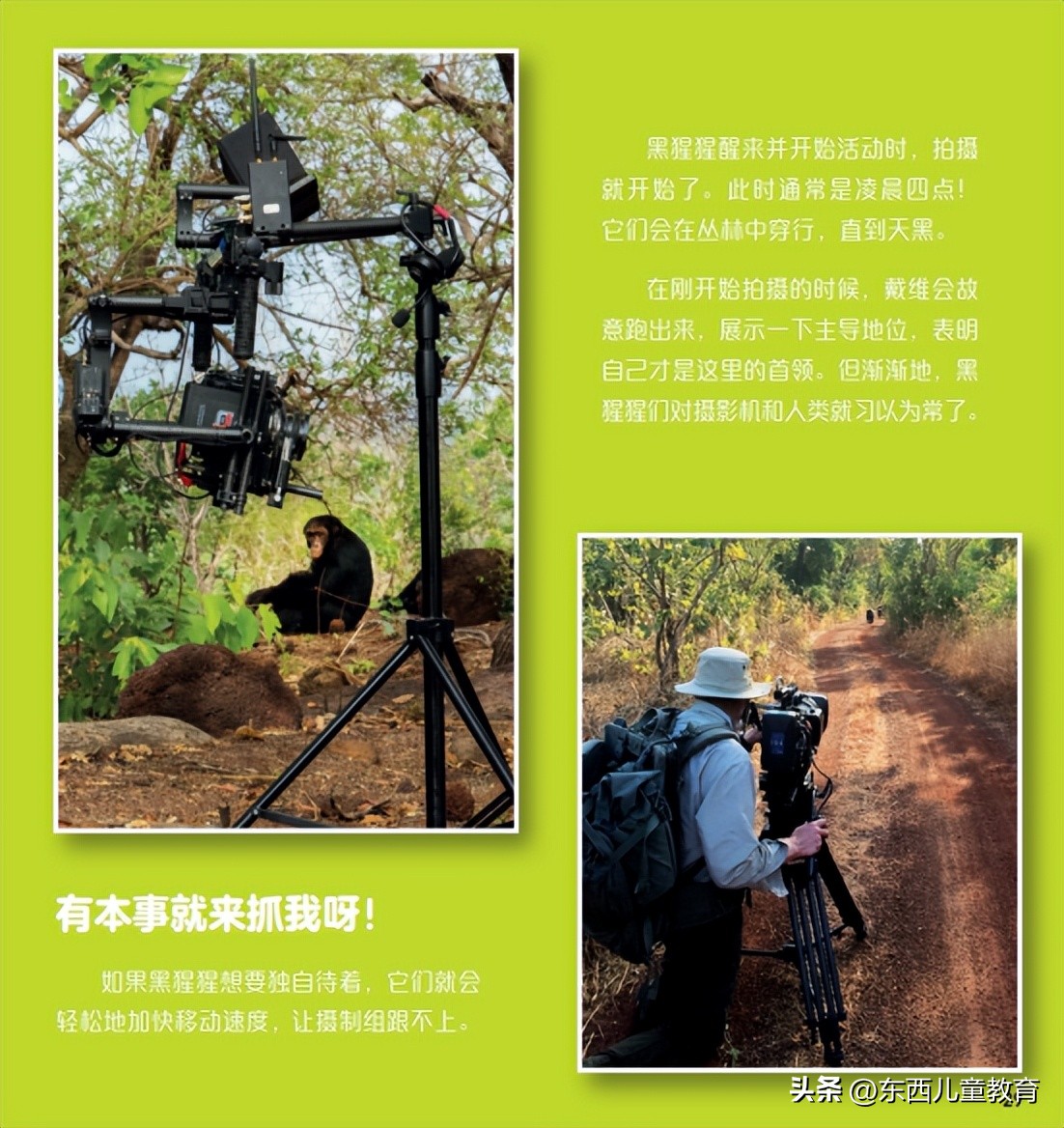 法布尔昆虫记立体书适合3-6岁儿童,法布尔昆虫记青少版必读