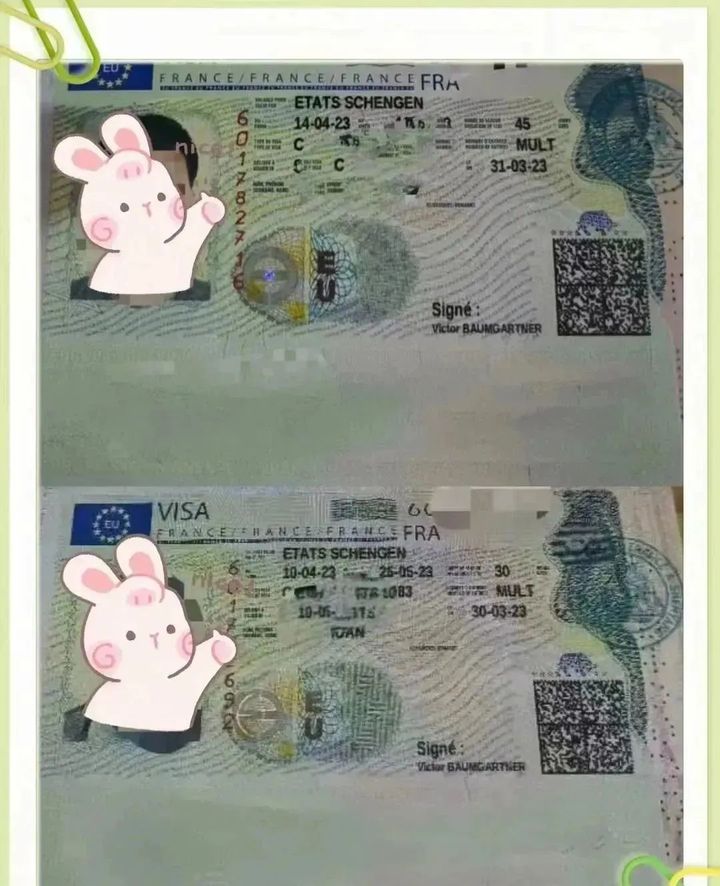 去美国参加学术会议签证会被拒吗,学术交流签证是商务签证吗