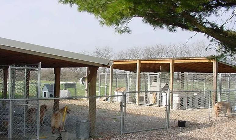 犬舍需要办什么手续,犬舍需要营业执照吗