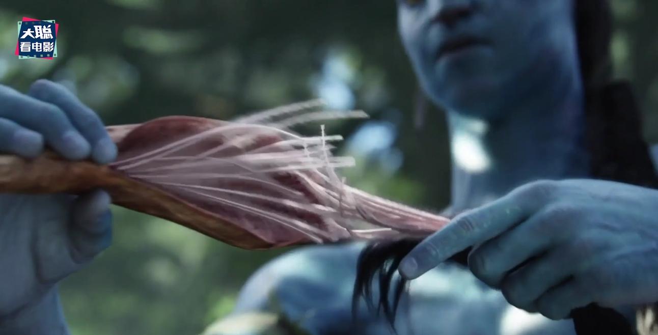 阿凡达细节讲解,阿凡达2全过程讲解