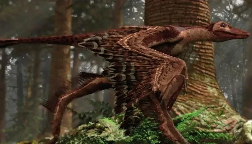 会飞的恐龙分别都是什么样子,会飞的恐龙大全