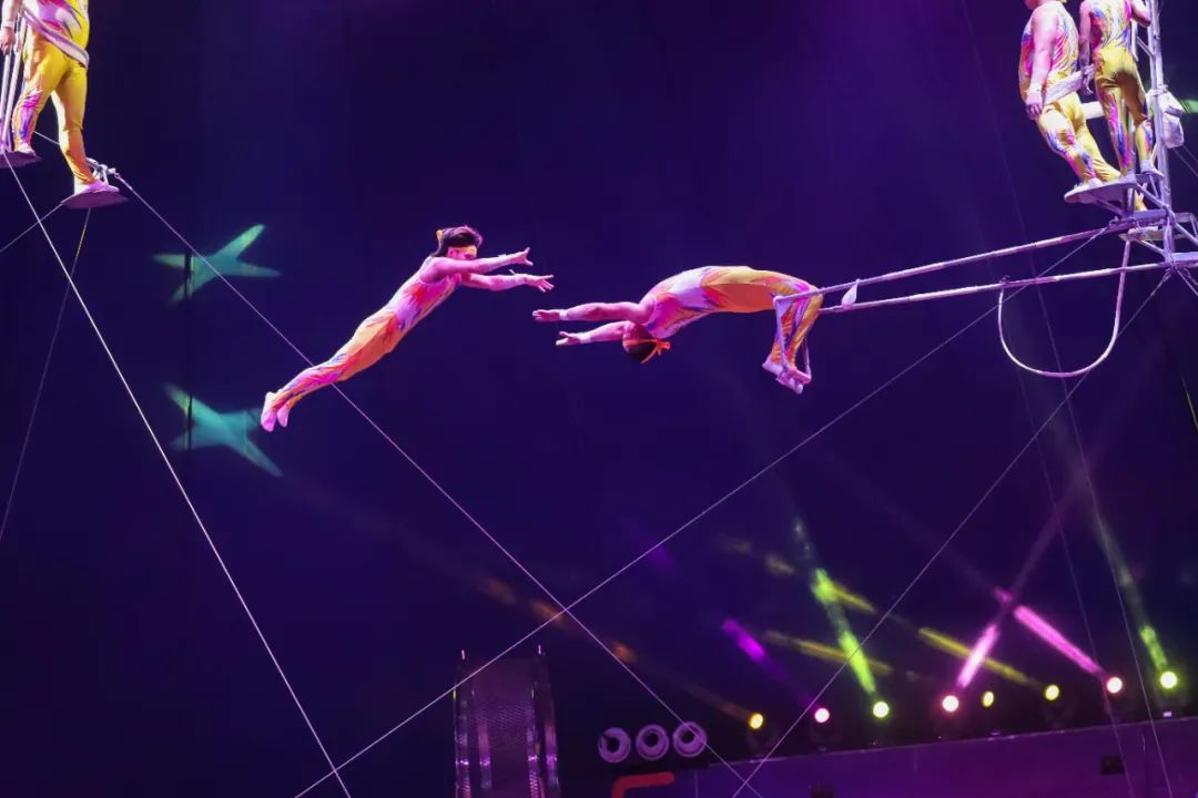 极致的视觉盛宴冲击你的感官,极致的视觉盛宴感受