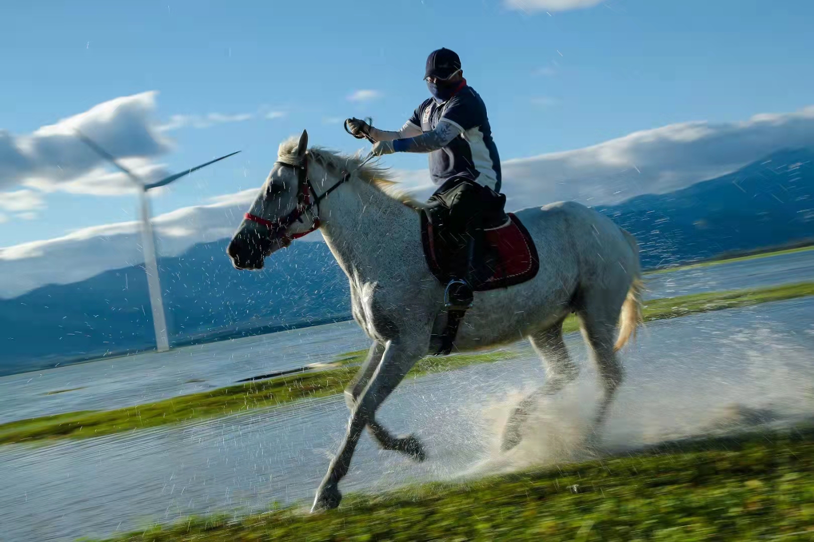 2023华杯赛夏令营,华誉外交官