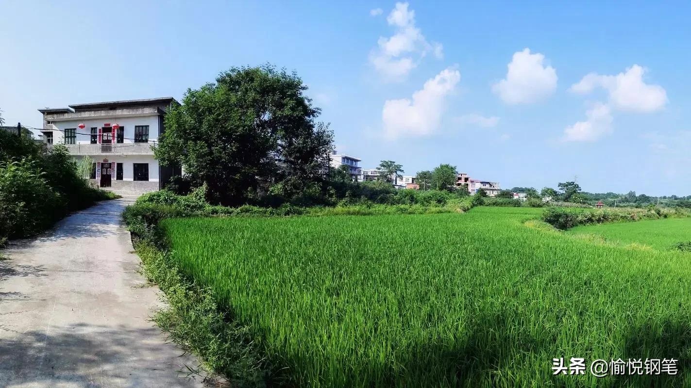 买水风俗过程,买水风俗是哪里的