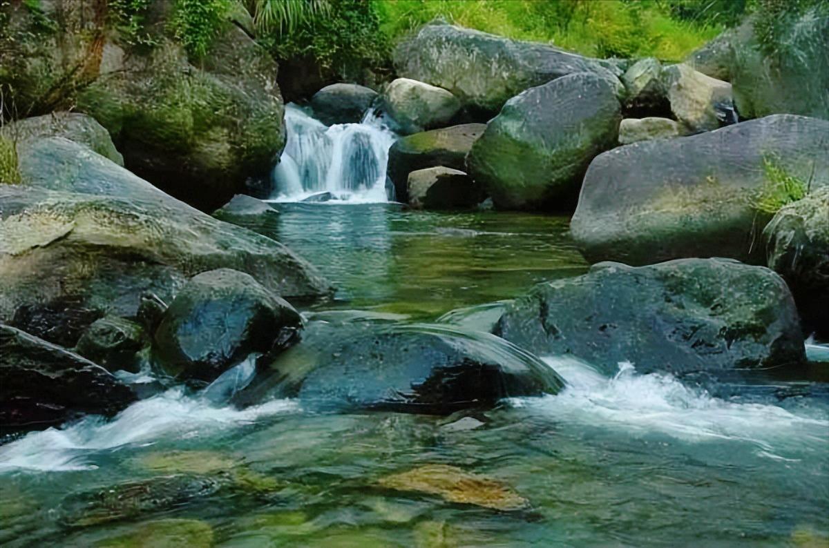 浮躁的时代读书怎么样,浮躁的年代诗歌