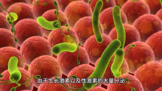 15岁青春期青春痘,青春痘男孩