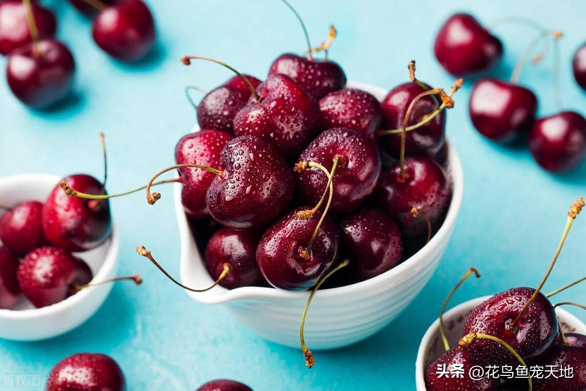 国内大樱桃和车厘子哪个好吃,车厘子和大樱桃哪个好吃些