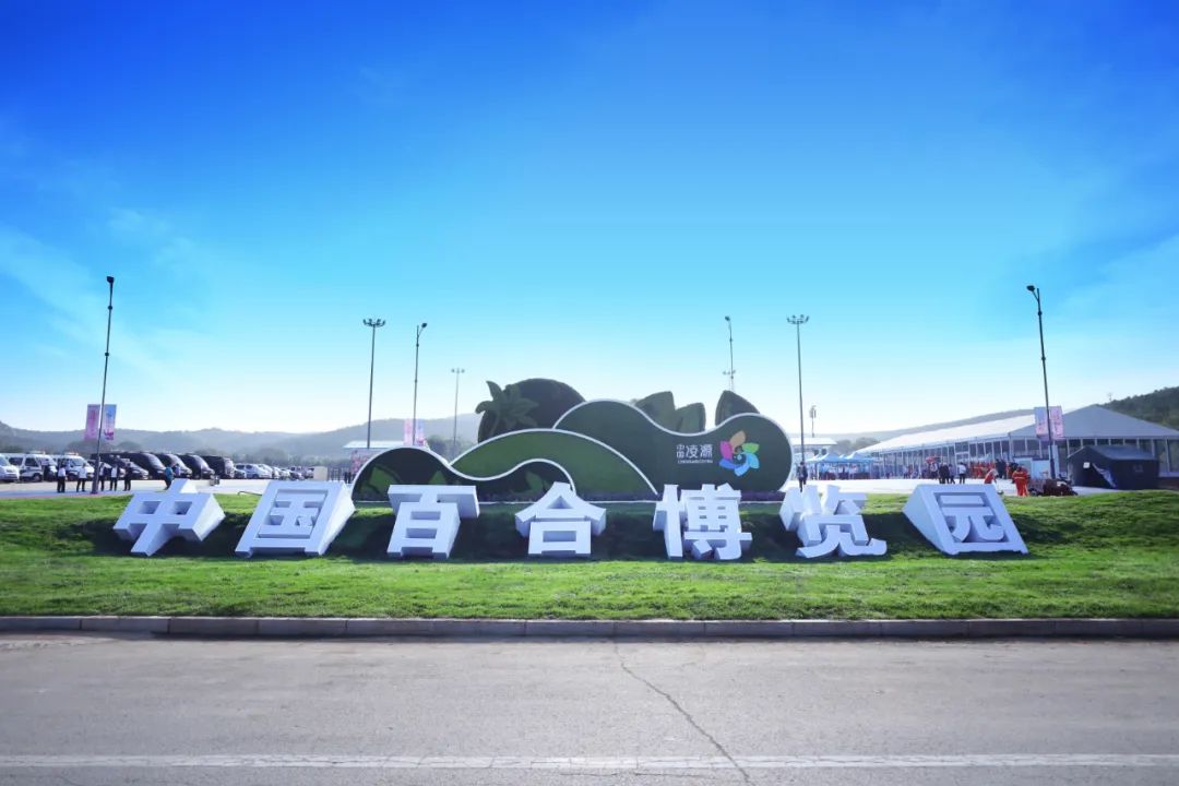 山荷叶·开在山间的魔法精灵，滴落的雨水能让她变得水晶般透明