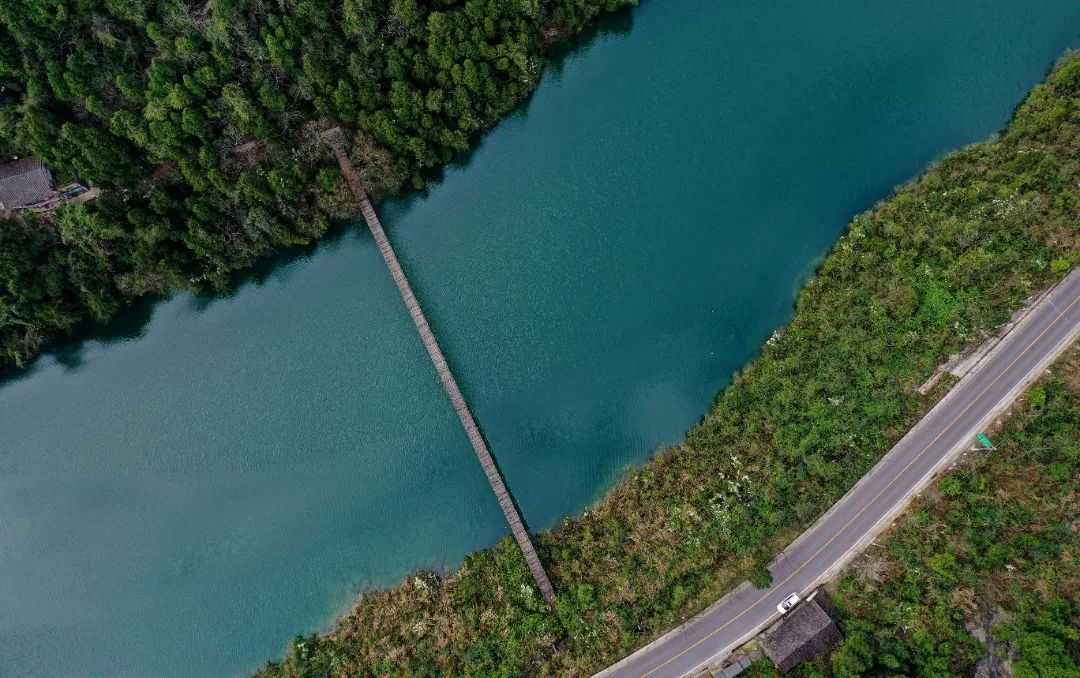 重庆乡村振兴示范村名单,重庆乡村一日游哪些地方好耍