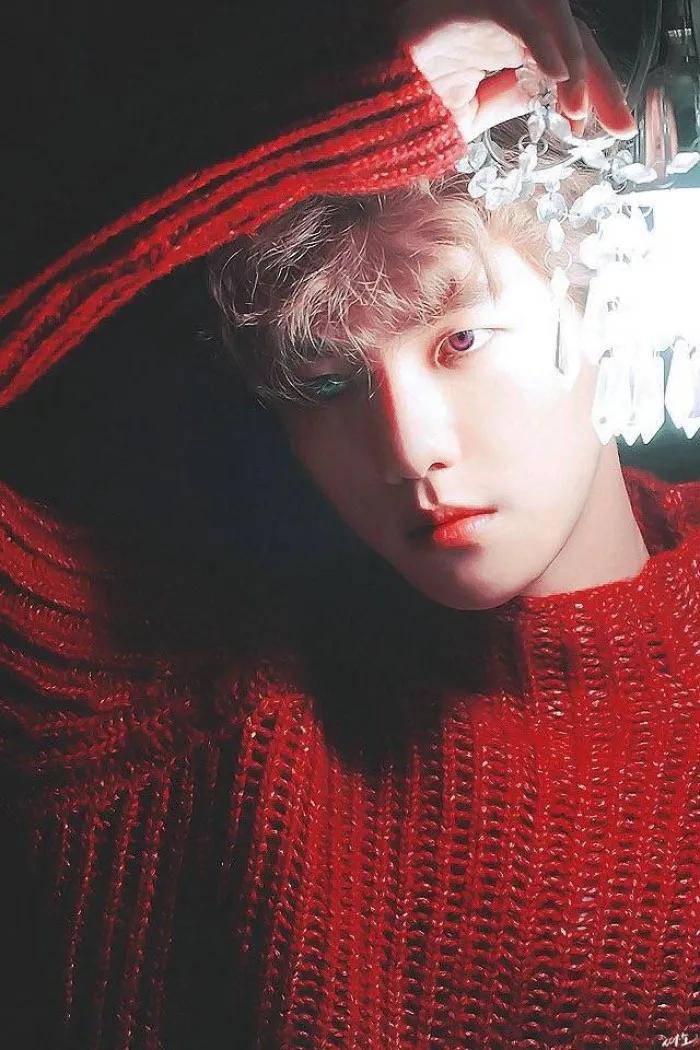 收集exo各个成员语录,exo成员说过的经典语录