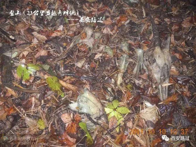 鳌山青峰峡,鳌山穿越要几天