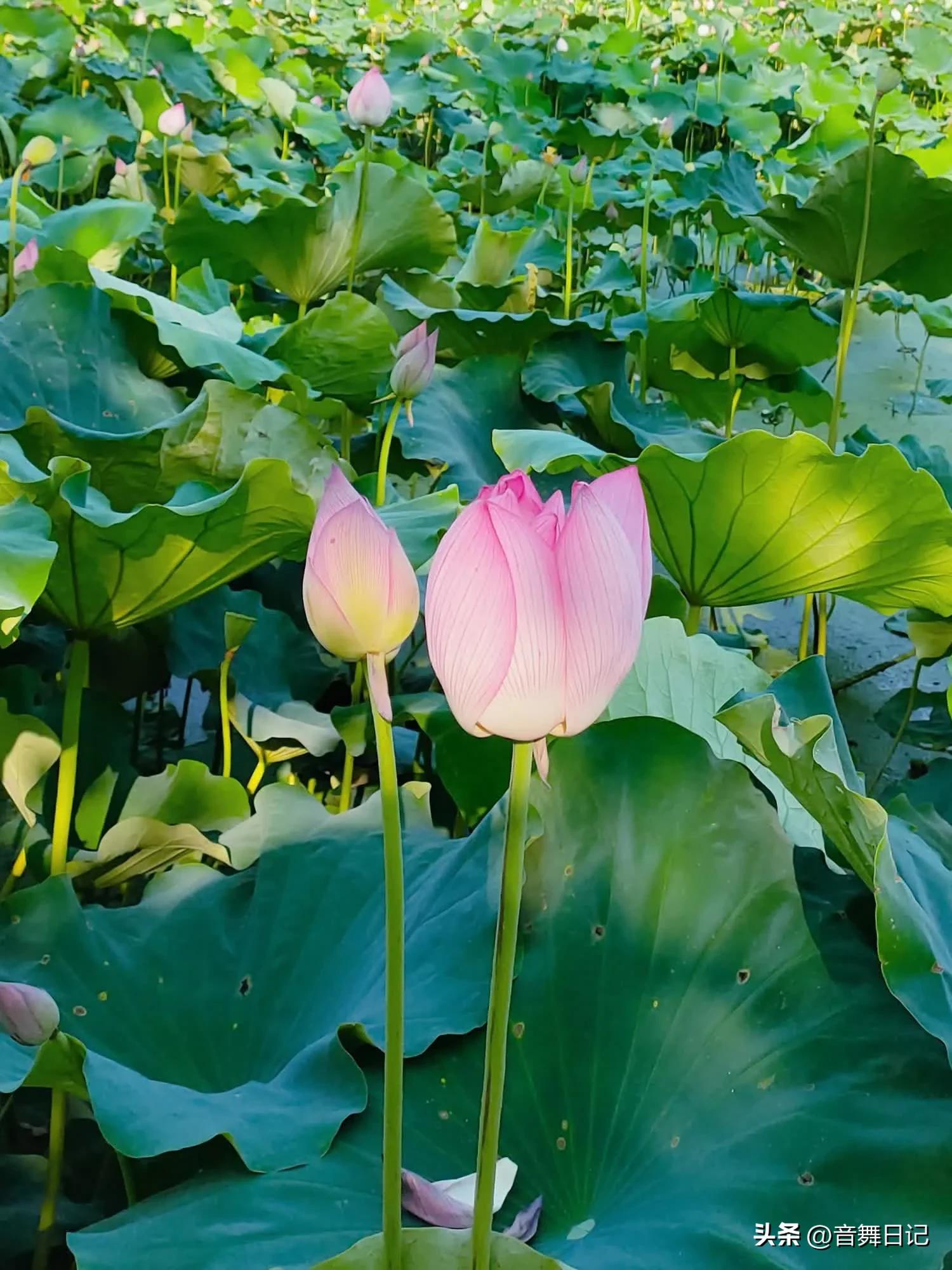 做自己不喜欢的工作才是最累的,每天做自己不感兴趣的工作好累