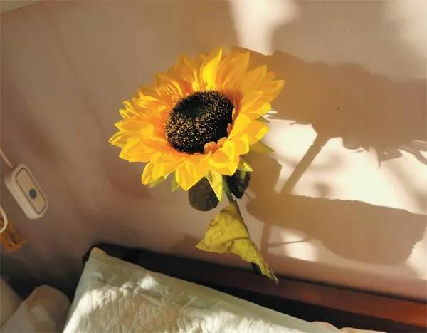 不可战胜的夫妻店咖喱店,不可战胜的夫妻店