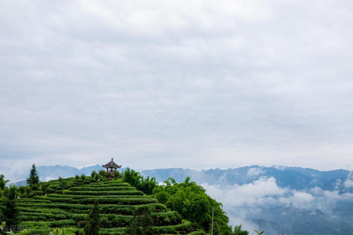 天津生态城赏花攻略,天津长虹公园赏花