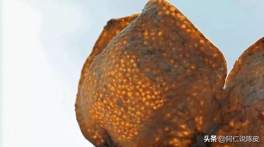 新会陈皮的真相,新会陈皮辨别真假