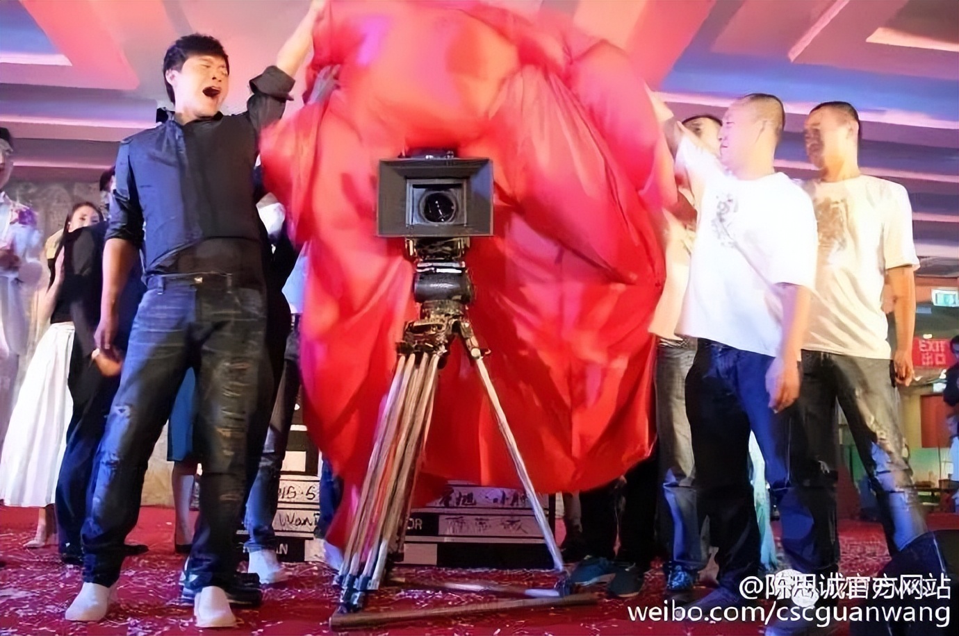 陈思诚消失的票房,消失的她票房陈思诚能分到多少