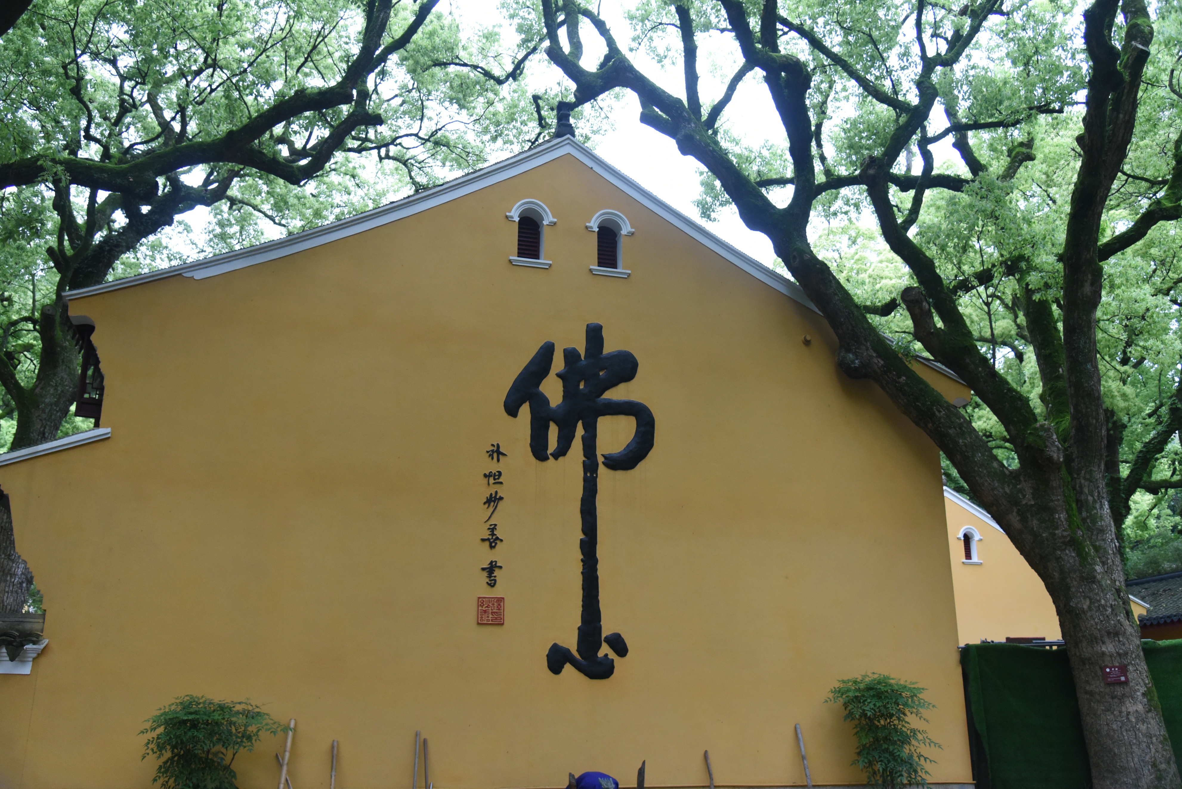 第三年到普陀山祈福之旅圆满,普陀山祈福二日杭州出发跟团游