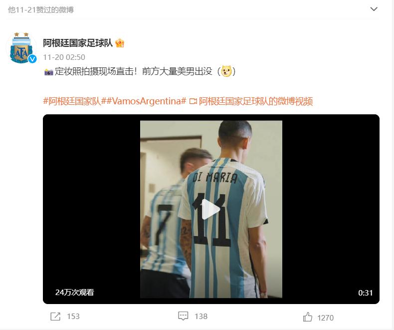 世界杯决赛阿根廷vs法国中国球迷,世界杯美洲区预选赛阿根廷巴西