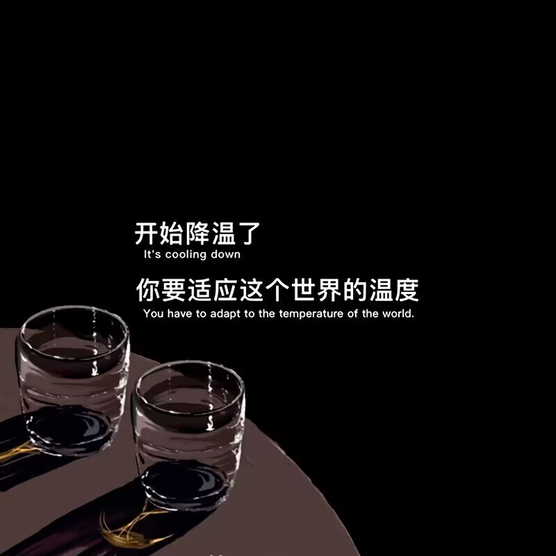 水瓶座双鱼座2024全年运势,水瓶座和摩羯座和双鱼座能搭配吗