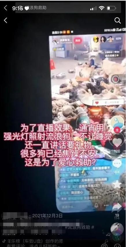 为了拯救动物我们可以做什么,为了拯救小动物牺牲自我