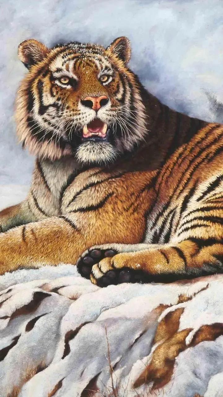 戏说老虎图文杂汇