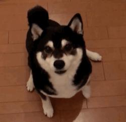 中国人下南洋如何白手起家,白手起家的人特征