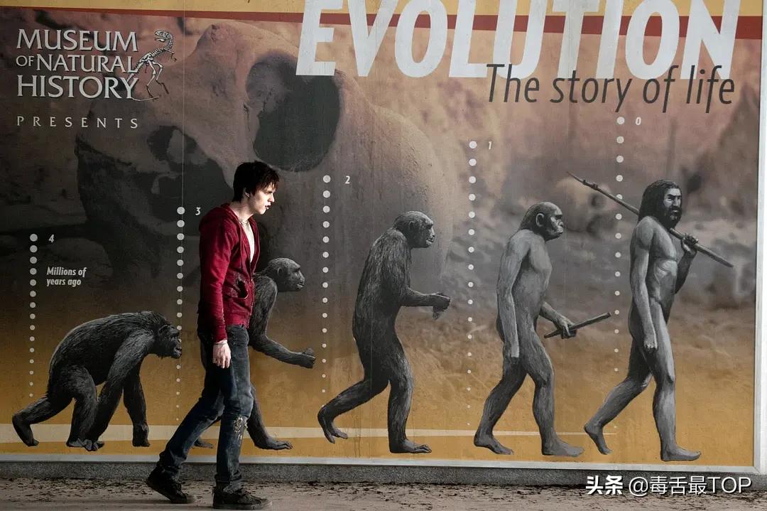 十大值得观看的丧尸电影,一部天花板级别的丧尸剧