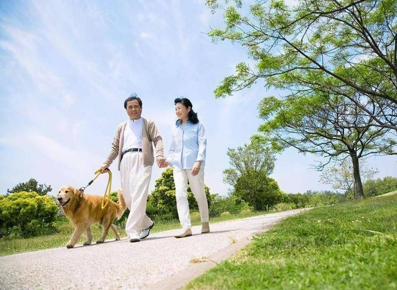 为什么外阴有一根白毛,女的外阴有好多白毛怎么治疗