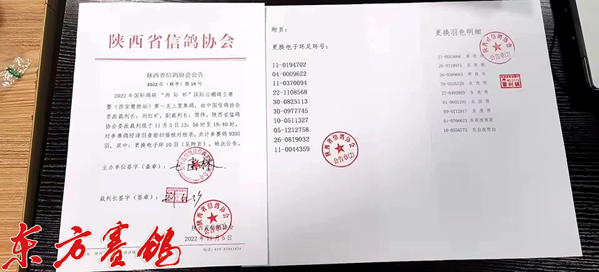 21年惠能秋棚决赛获奖鸽照片,慧能信鸽秋棚直播