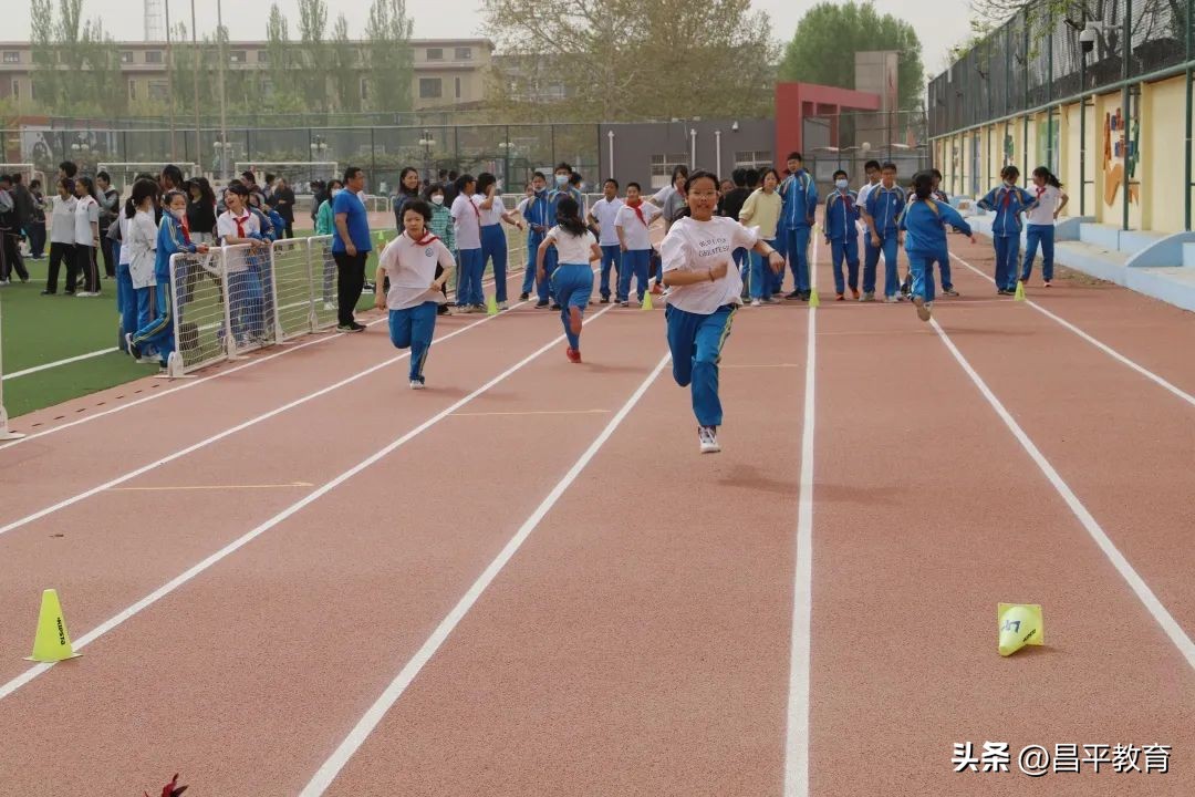赋能于师丨城区学区在行动!