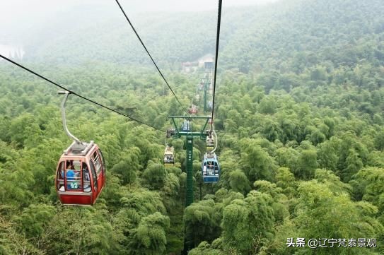 宜兴竹海风景区竹子有多少,宜兴竹海风景区介绍视频