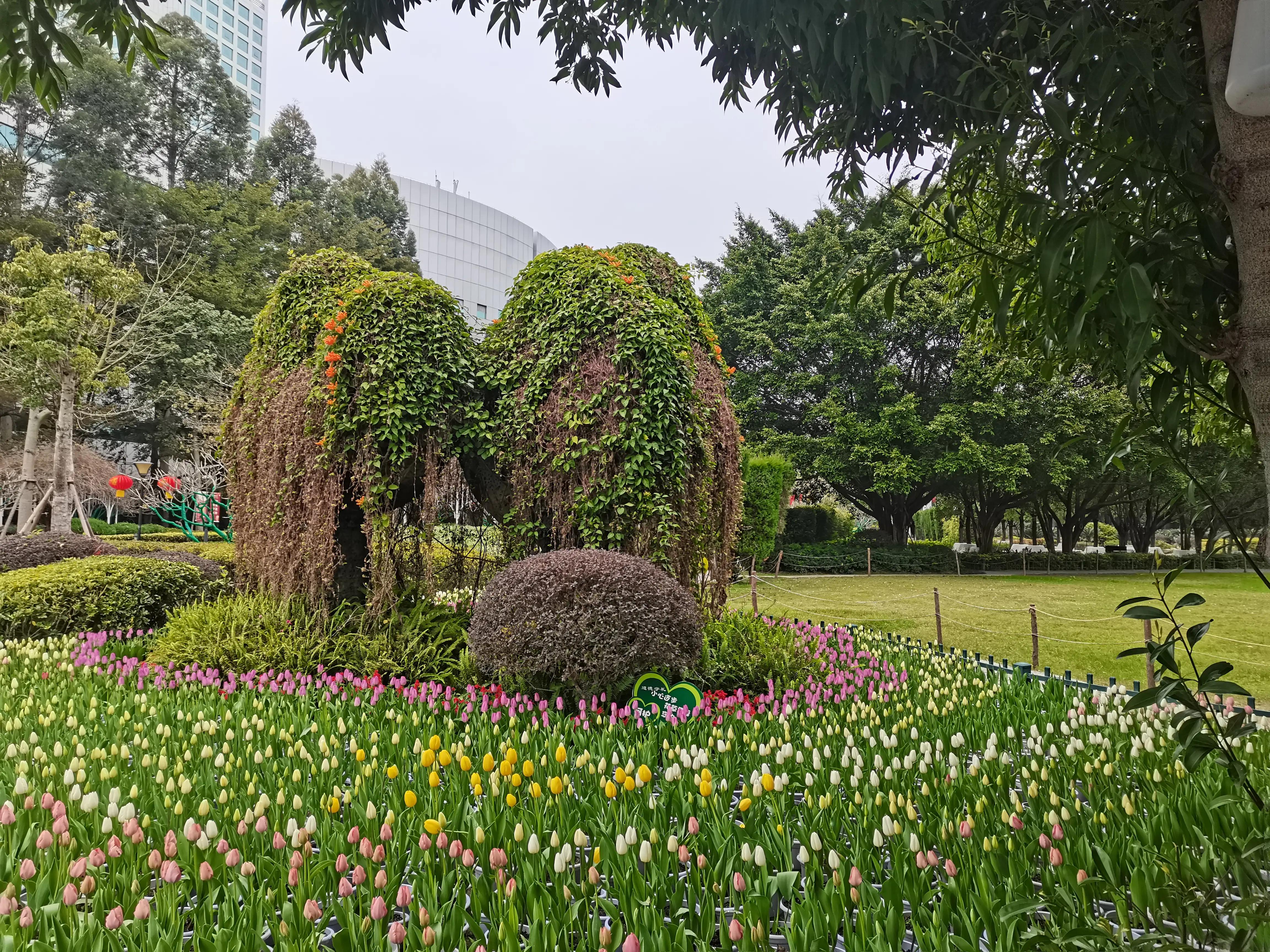 福州郁金香温泉公园,福州花海公园郁金香