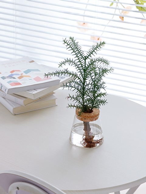 老人家入住新房还如何除甲醛,家里有老人孩子怎么除甲醛